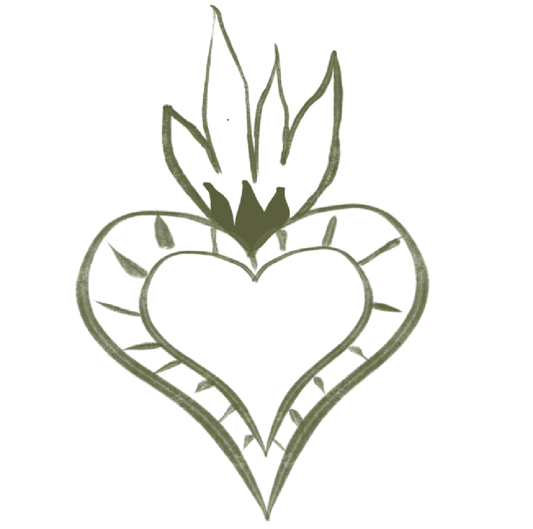 Imagen decorativa de un corazón de trazos simples verdes, sin relleno.
